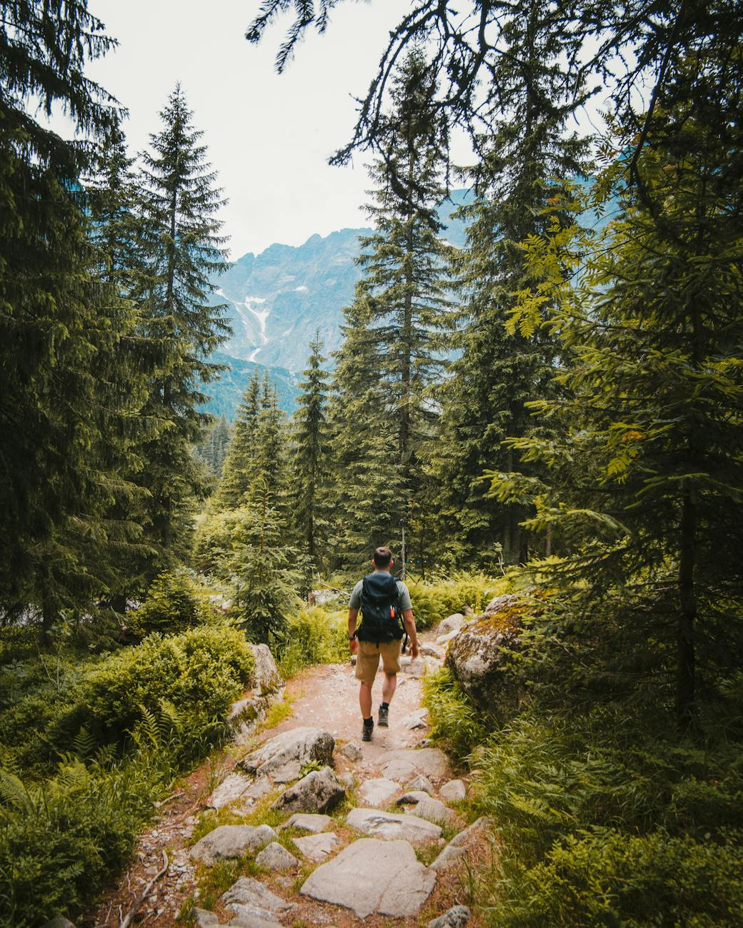 man walking on trail between trees